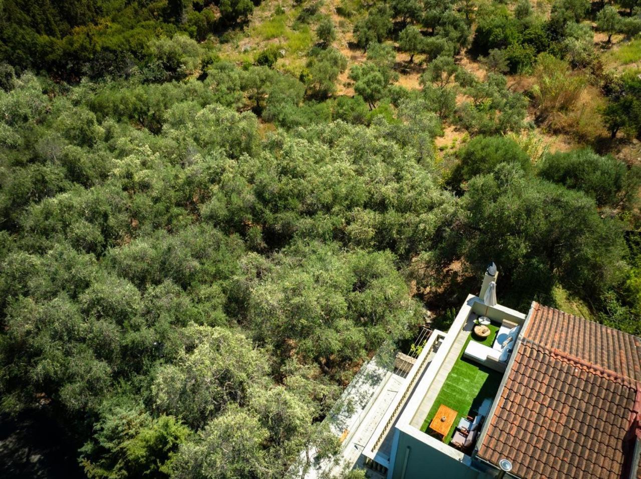 Mavres Luxury Loft Apartment Agios Matthaios  Exterior photo